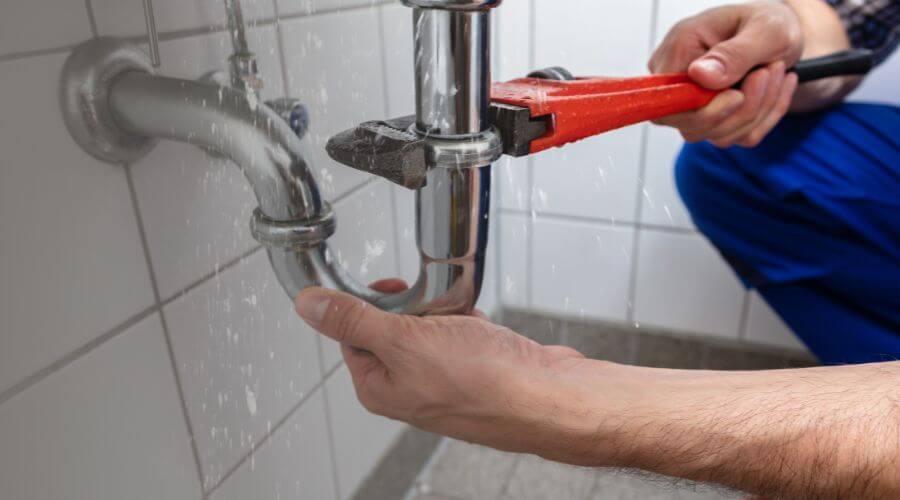 Professional Leak Detection services in Bloomburg, TX